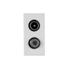 PRISE DIRECTE DEMIXEE TV/SAT WHITEK 44|sfh|bcf5a97090e0|