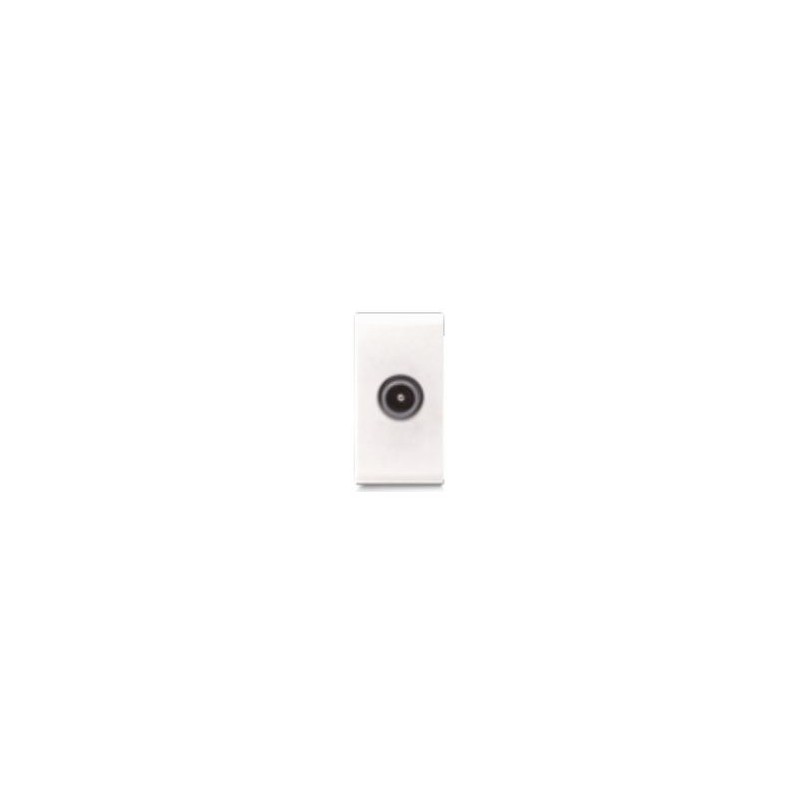 Prise TV CLARA 43|sfh|71146a4dabbd|