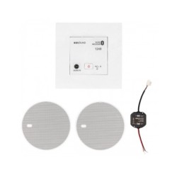 Récepteur audio Bluetooth modulaire Clara|sfh|64c5decb3aa7|