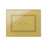 PLAQUE VERA 44 TOUCH RECTANGULAIRE DORÉ POUR PRISE COULISSANTE AVEC SYMBOLE PRISE|sfh|31154a4c5595|