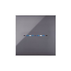 PLAQUE YOUNG TOUCH 44 CARRÉE GRIS CENDRÉ 2 MODULES|sfh|2ecb8e1ebffc|
