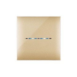 PLAQUE YOUNG TOUCH 44 CARRÉE DORÉ 2 MODULES|sfh|18f4292d8696|