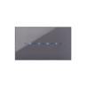 PLAQUE YOUNG TOUCH 44 RECTANGULAIRE GRIS CENDRÉ 4 MODULES|sfh|abdf51186cf5|