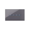 PLAQUE YOUNG TOUCH 44 RECTANGULAIRE GRIS CENDRÉ 4 MODULES|sfh|429d0be60170|