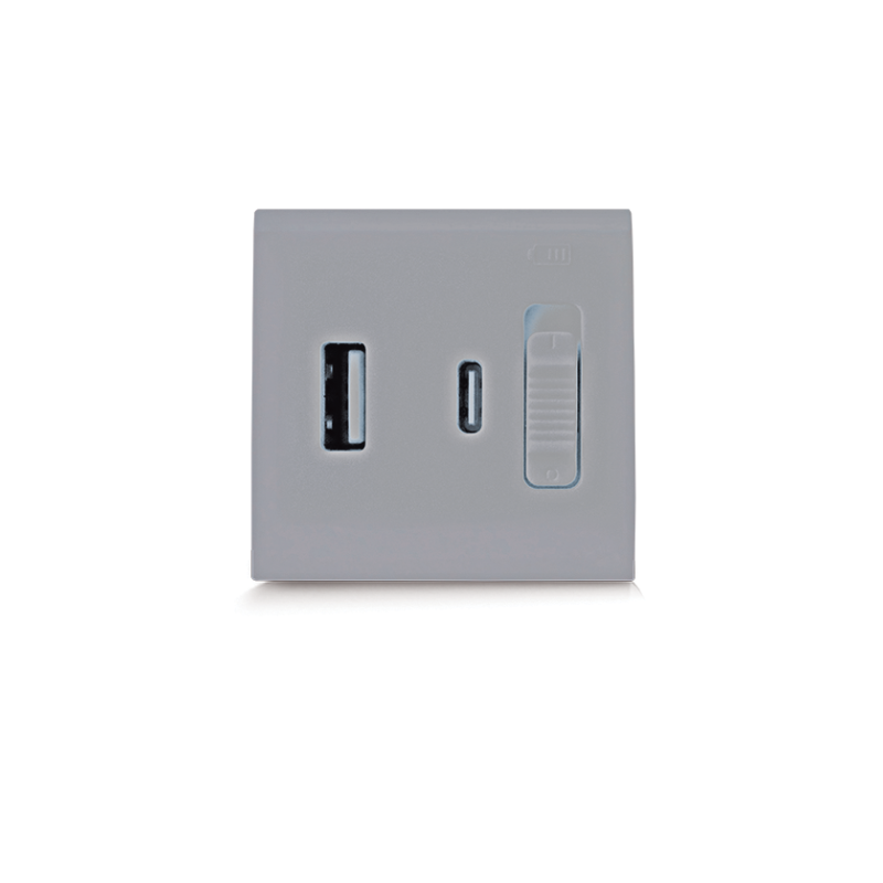Chargeur USB ULTRA RAPIDE (PD) 20W TYPE A+C 2 MODULES SYLVIA 43|sfh|833f228bbd0a|