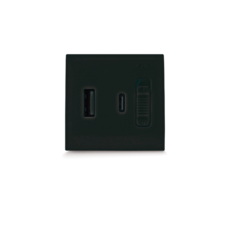 Chargeur USB ULTRA RAPIDE (PD) 20W TYPE A+C 2 MODULES NERA 43|sfh|c1f4ad24b88d|