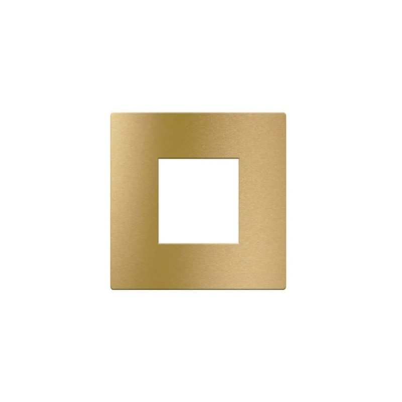 PLAQUE VERA 44 RECTANGULAIRE ALUMUNIUM COULEUR OR BROSSÉ 2 MODULES|sfh|0827e2d5e56a|