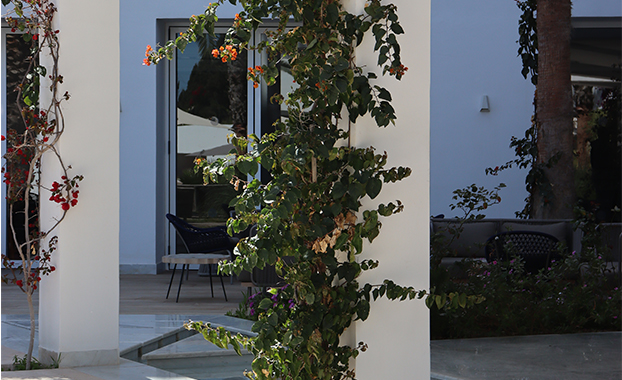 Hôtel Bel Azur Hammamet — photo 10